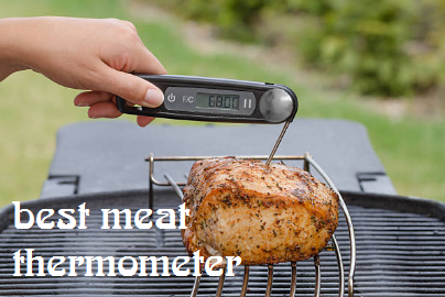 Best Meat Thermometer America's Test Kitchen