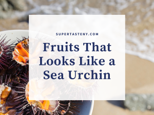 Fruits That Looks Like a Sea Urchin
